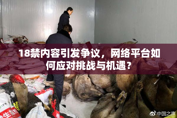 18禁内容引发争议，网络平台如何应对挑战与机遇？