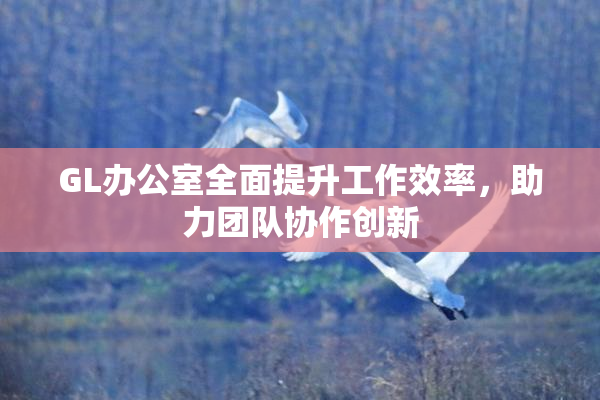 GL办公室全面提升工作效率，助力团队协作创新