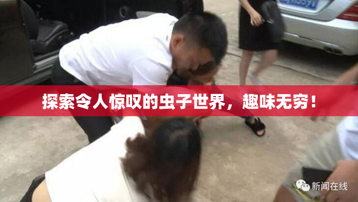 探索令人惊叹的虫子世界，趣味无穷！