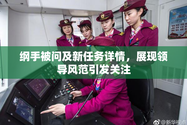 纲手被问及新任务详情，展现领导风范引发关注