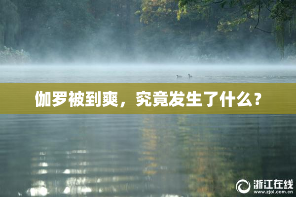 伽罗被到爽，究竟发生了什么？