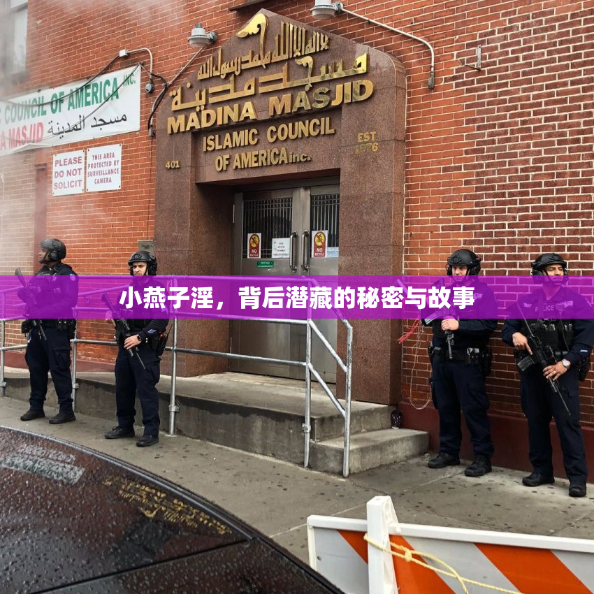 小燕子淫，背后潜藏的秘密与故事