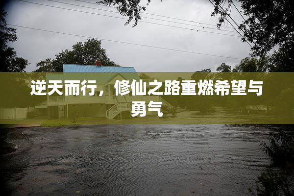 逆天而行，修仙之路重燃希望与勇气