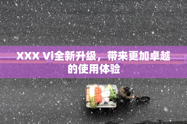 XXX Vi全新升级，带来更加卓越的使用体验