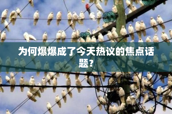 为何爆爆成了今天热议的焦点话题？