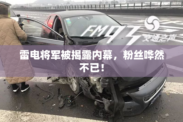 雷电将军被揭露内幕，粉丝哗然不已！