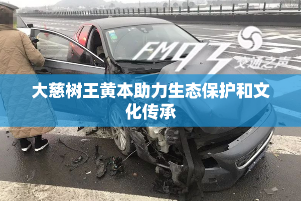 大慈树王黄本助力生态保护和文化传承