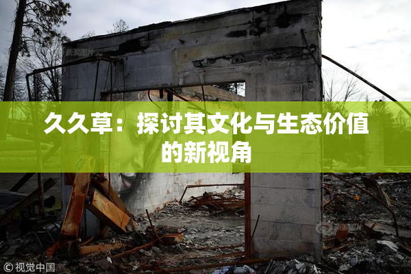 久久草：探讨其文化与生态价值的新视角
