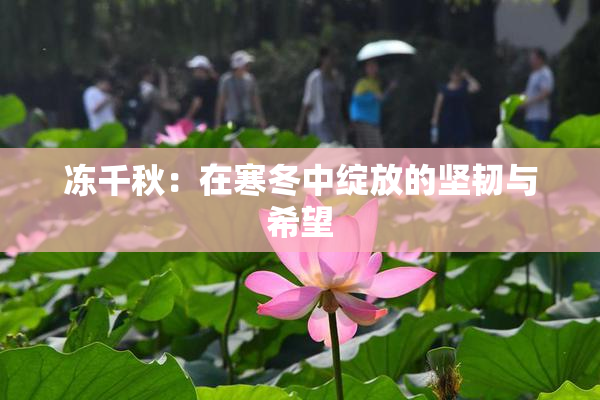 冻千秋：在寒冬中绽放的坚韧与希望