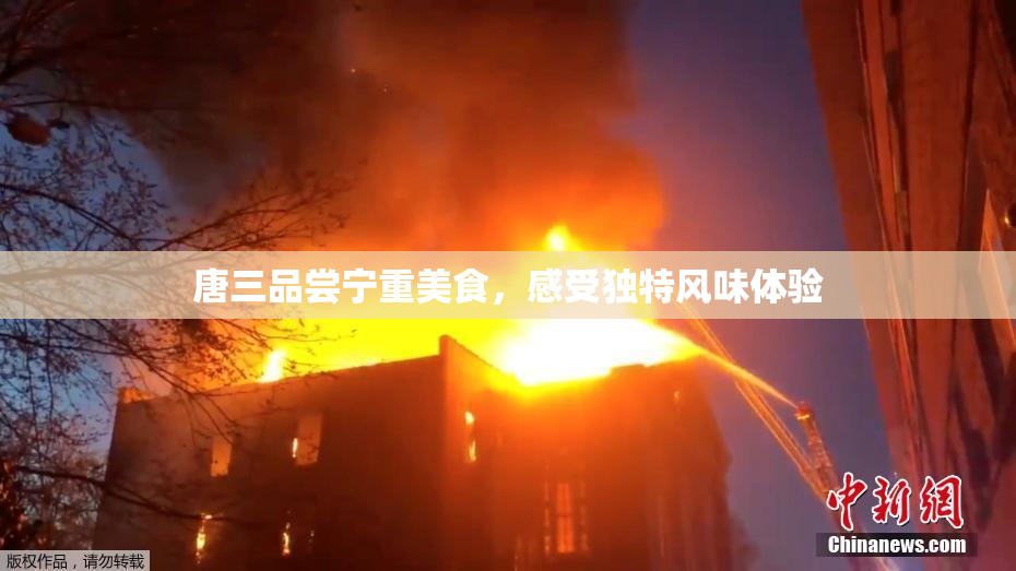 唐三品尝宁重美食，感受独特风味体验