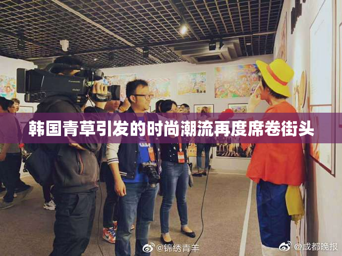 韩国青草引发的时尚潮流再度席卷街头