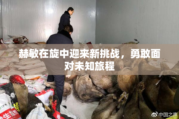赫敏在旋中迎来新挑战，勇敢面对未知旅程