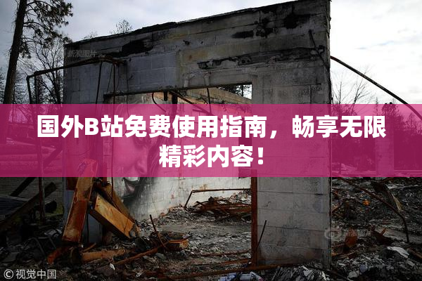 国外B站免费使用指南，畅享无限精彩内容！