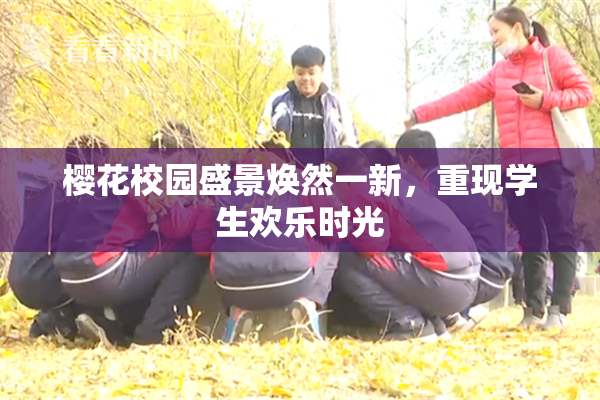 樱花校园盛景焕然一新，重现学生欢乐时光