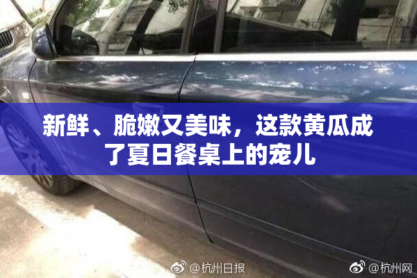新鲜、脆嫩又美味，这款黄瓜成了夏日餐桌上的宠儿