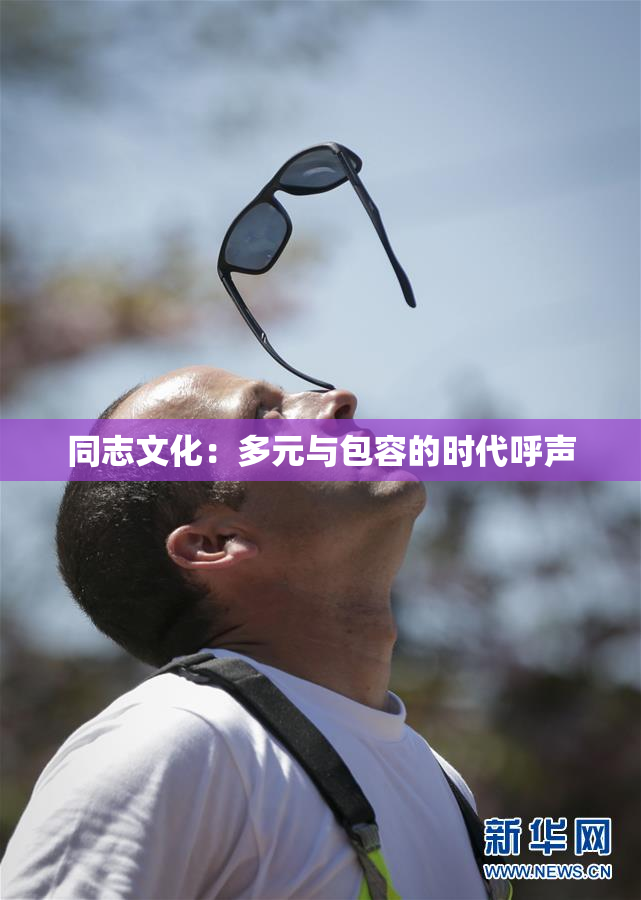 同志文化：多元与包容的时代呼声