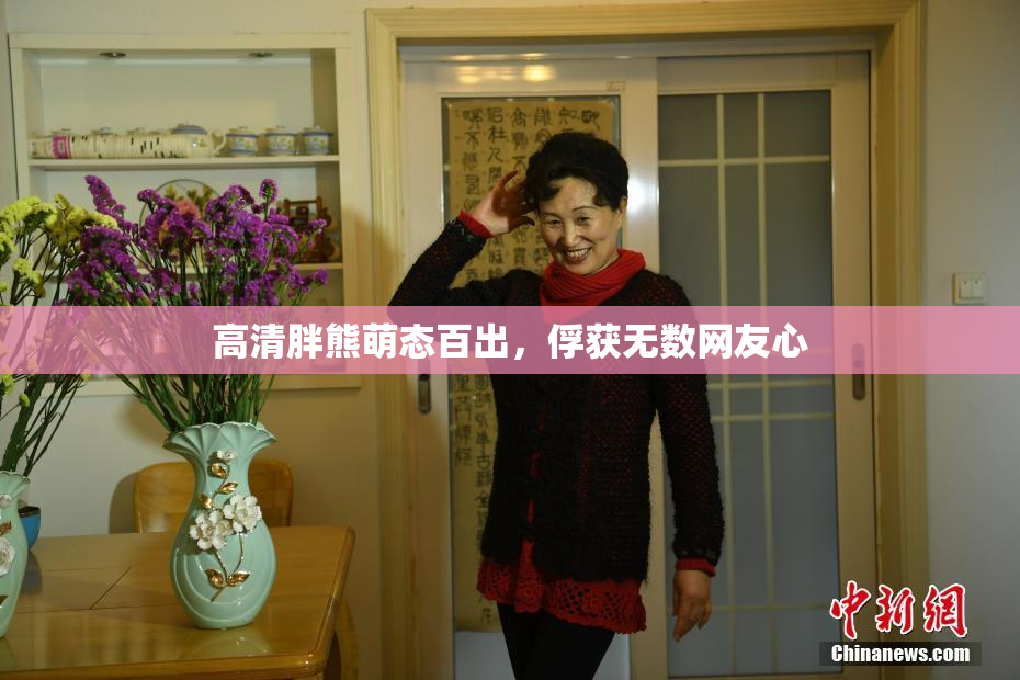 高清胖熊萌态百出，俘获无数网友心