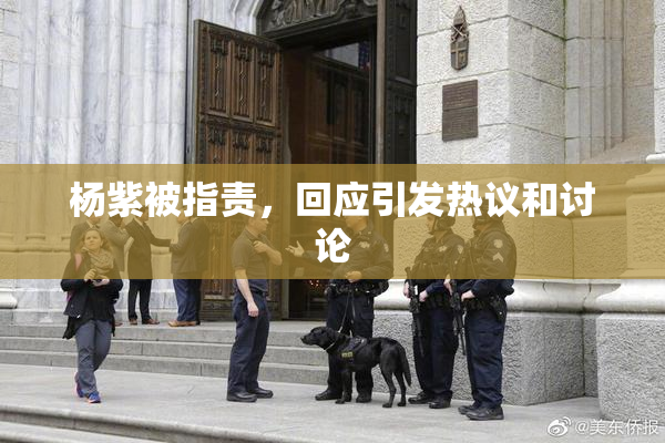 杨紫被指责，回应引发热议和讨论