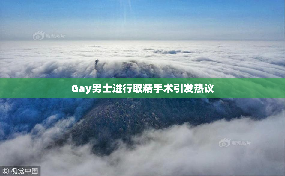 Gay男士进行取精手术引发热议
