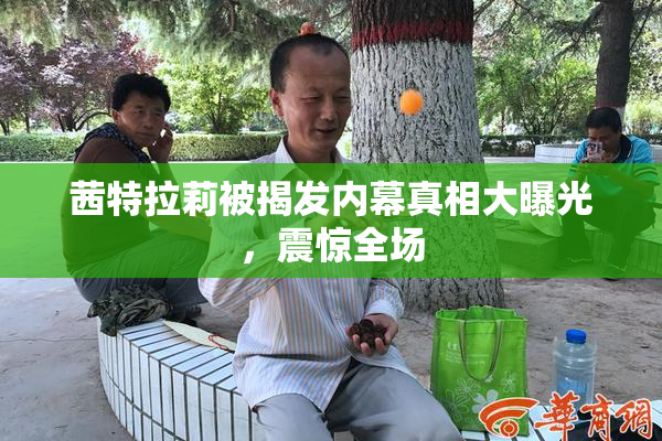 茜特拉莉被揭发内幕真相大曝光，震惊全场
