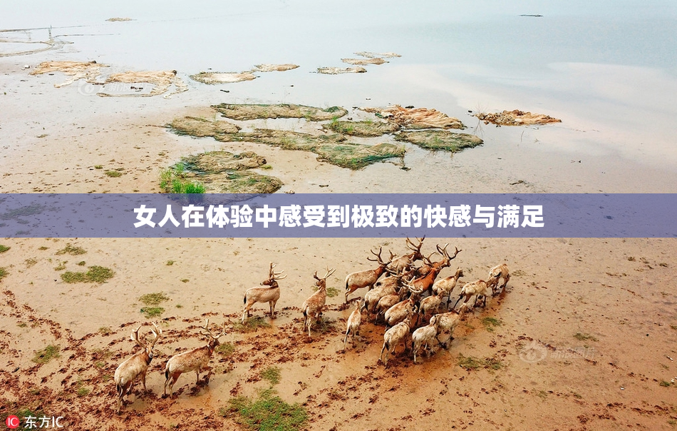 女人在体验中感受到极致的快感与满足