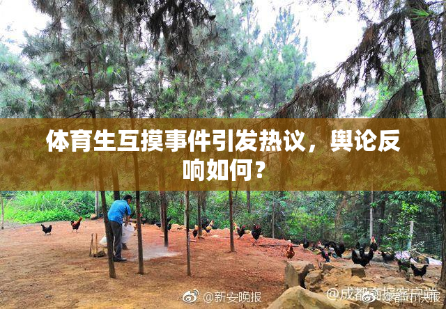 体育生互摸事件引发热议，舆论反响如何？