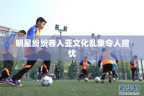 明星纷纷卷入亚文化乱象令人担忧