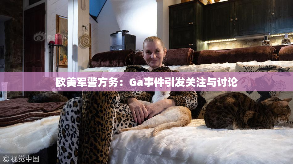 欧美军警方务：Ga事件引发关注与讨论