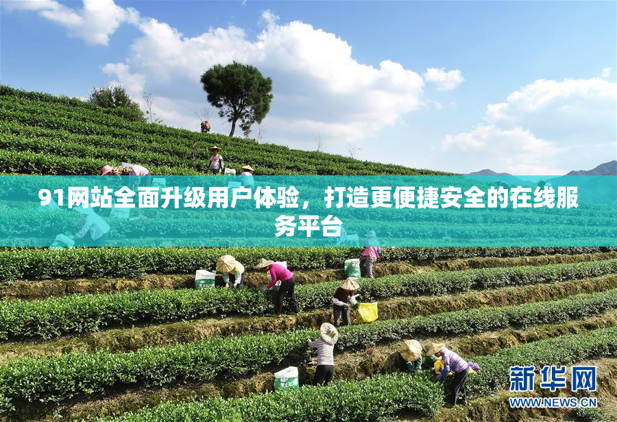 91网站全面升级用户体验，打造更便捷安全的在线服务平台