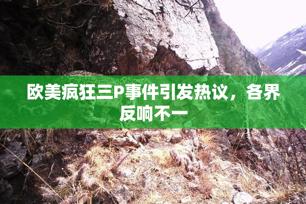 欧美疯狂三P事件引发热议，各界反响不一