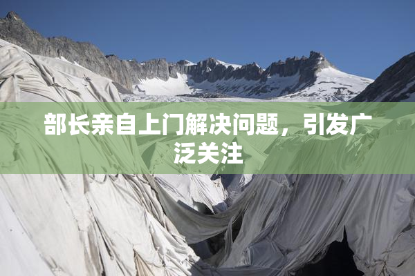 部长亲自上门解决问题，引发广泛关注