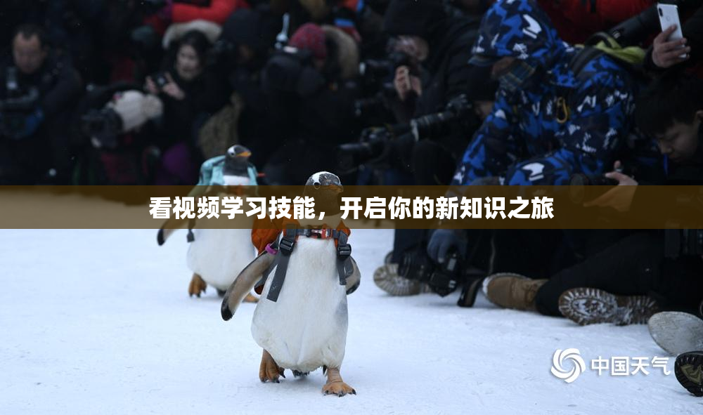 看视频学习技能，开启你的新知识之旅