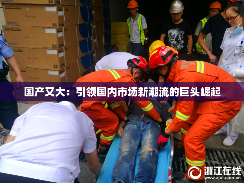 国产又大：引领国内市场新潮流的巨头崛起