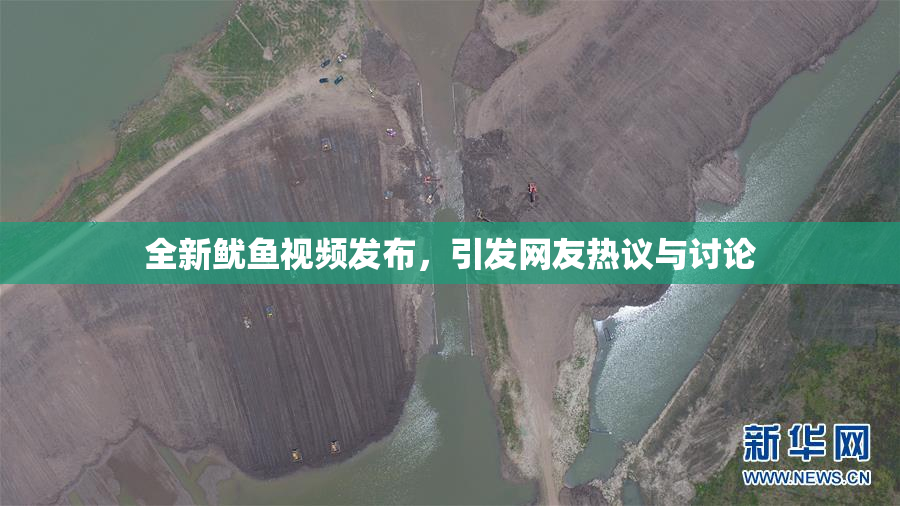 全新鱿鱼视频发布，引发网友热议与讨论