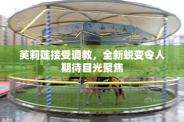 芙莉莲接受调教，全新蜕变令人期待目光聚焦