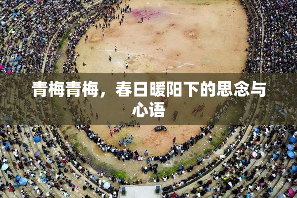 青梅青梅，春日暖阳下的思念与心语