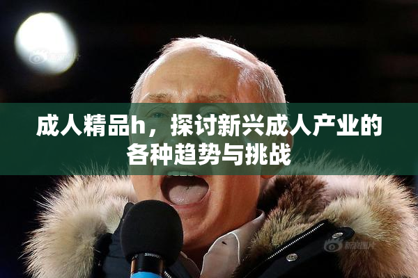 成人精品h，探讨新兴成人产业的各种趋势与挑战