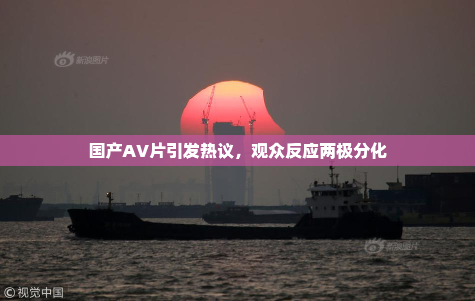 国产AV片引发热议，观众反应两极分化