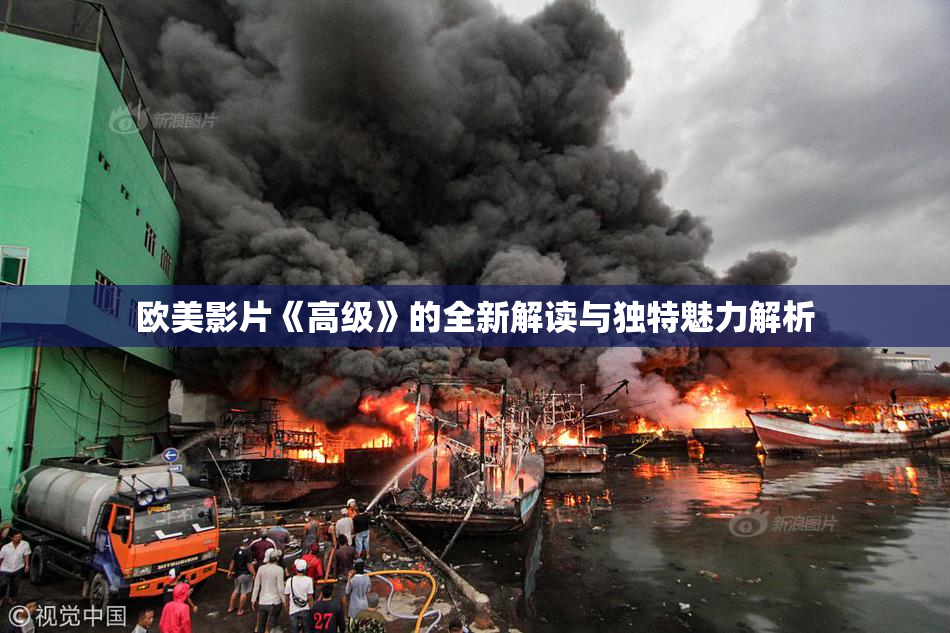 欧美影片《高级》的全新解读与独特魅力解析