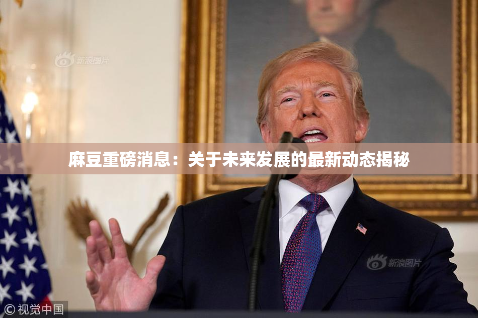 麻豆重磅消息：关于未来发展的最新动态揭秘