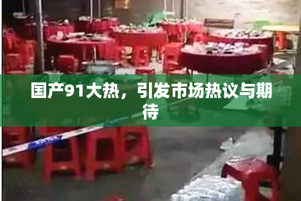 国产91大热，引发市场热议与期待