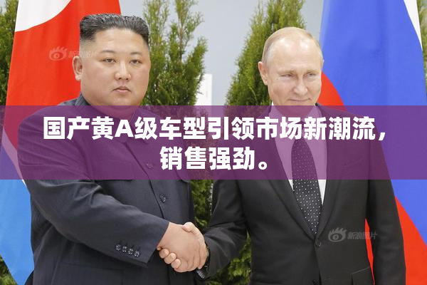 国产黄A级车型引领市场新潮流，销售强劲。