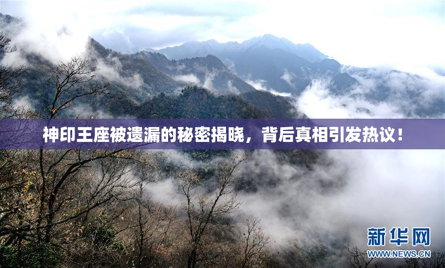 神印王座被遗漏的秘密揭晓，背后真相引发热议！