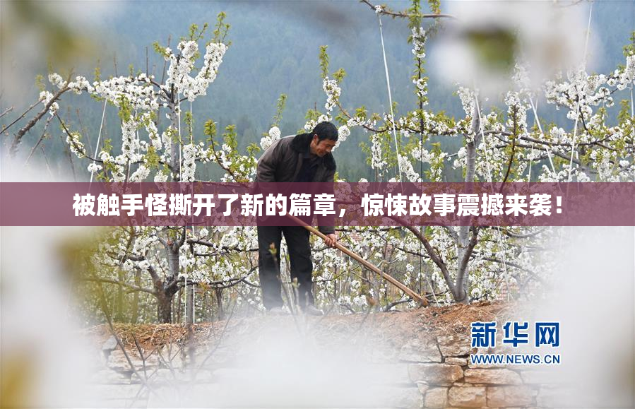 被触手怪撕开了新的篇章，惊悚故事震撼来袭！