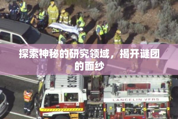 探索神秘的研究领域，揭开谜团的面纱
