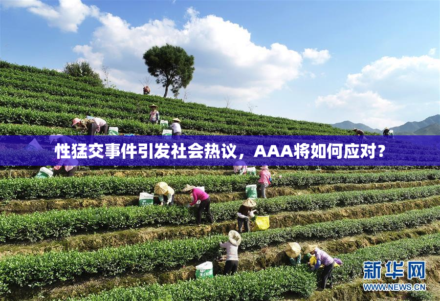 性猛交事件引发社会热议，AAA将如何应对？
