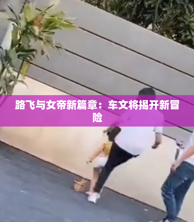 路飞与女帝新篇章：车文将揭开新冒险