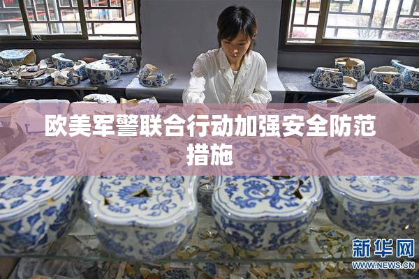 欧美军警联合行动加强安全防范措施
