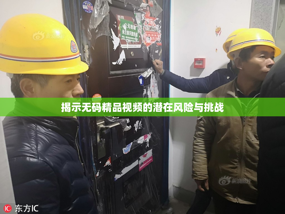揭示无码精品视频的潜在风险与挑战