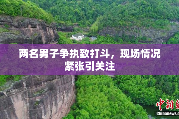 两名男子争执致打斗，现场情况紧张引关注